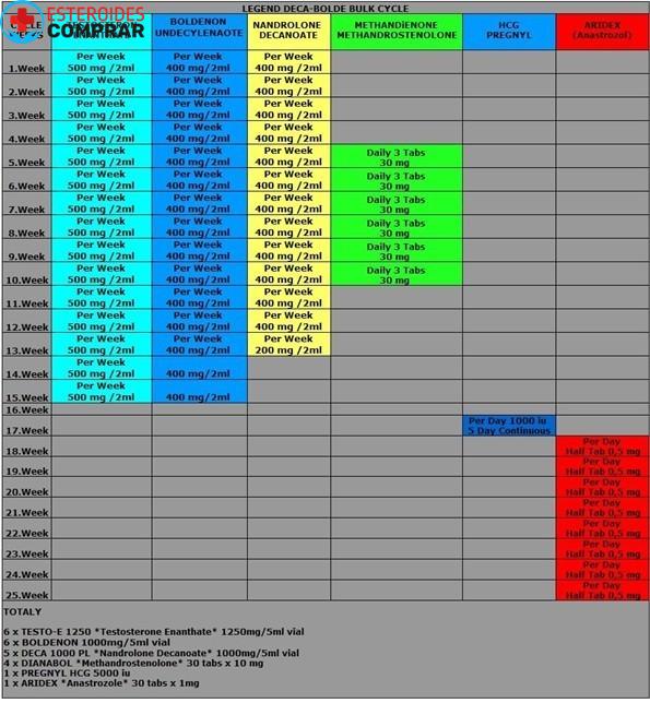 Calidad n º 1 de la construcción de masa por ciclo - Imagen 2